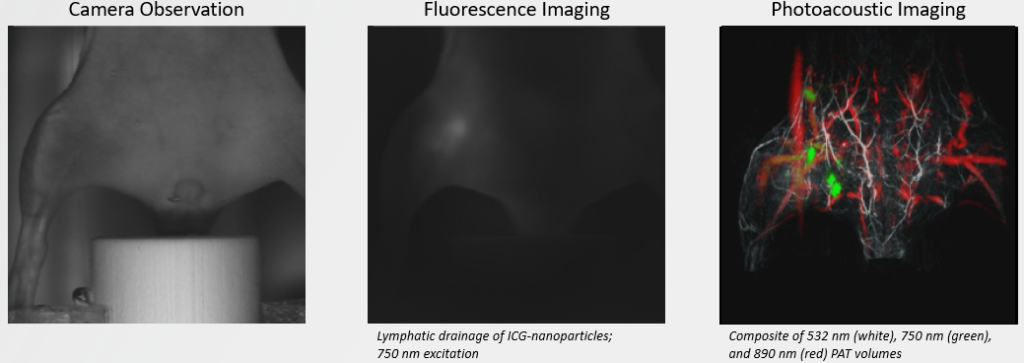 multimodal imaging