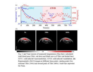 Figure 3 (a) A line and dot chart showing a temperature range as compared to total blood area after an elapsed time frame. Figure (b) shows three Photoacoustic Ultrasound images taken at different time points, red spots identify total blood area.